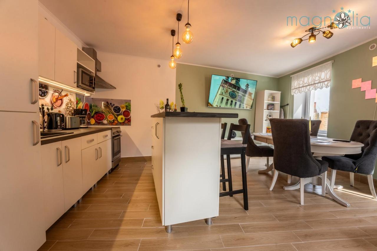 Magnolia Central Apartment #1 Sighişoara Dış mekan fotoğraf