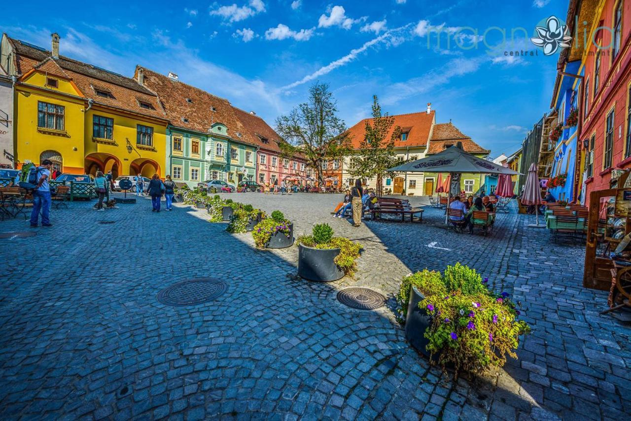 Magnolia Central Apartment #1 Sighişoara Dış mekan fotoğraf